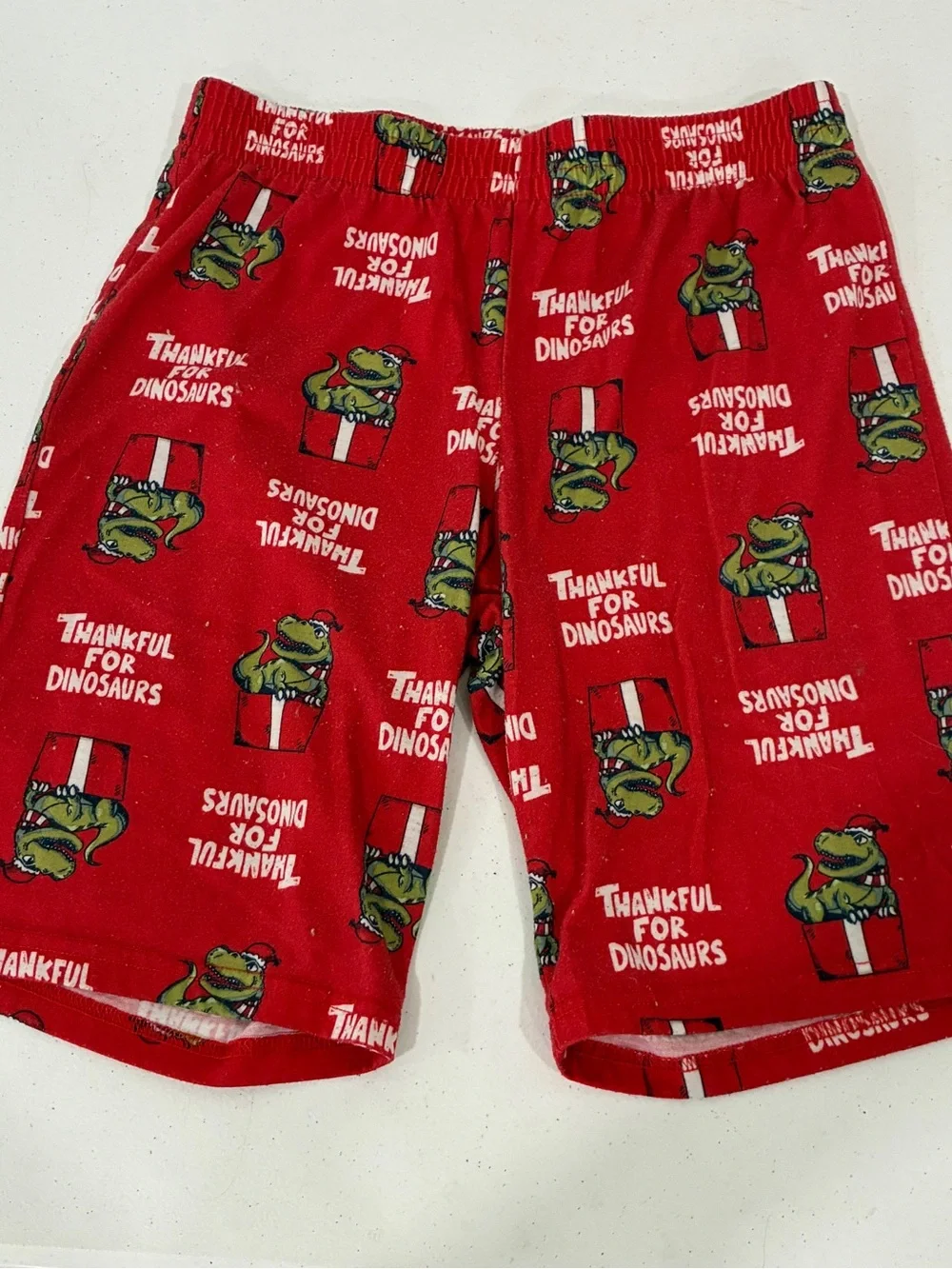 Cat & Jack Boys Size L 12/14 Red Thankful For Dinosaurs Christmas Pj Sleep Short
